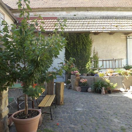 Gaestezimmer Mittelgasse Florsheim-Dalsheim Ngoại thất bức ảnh
