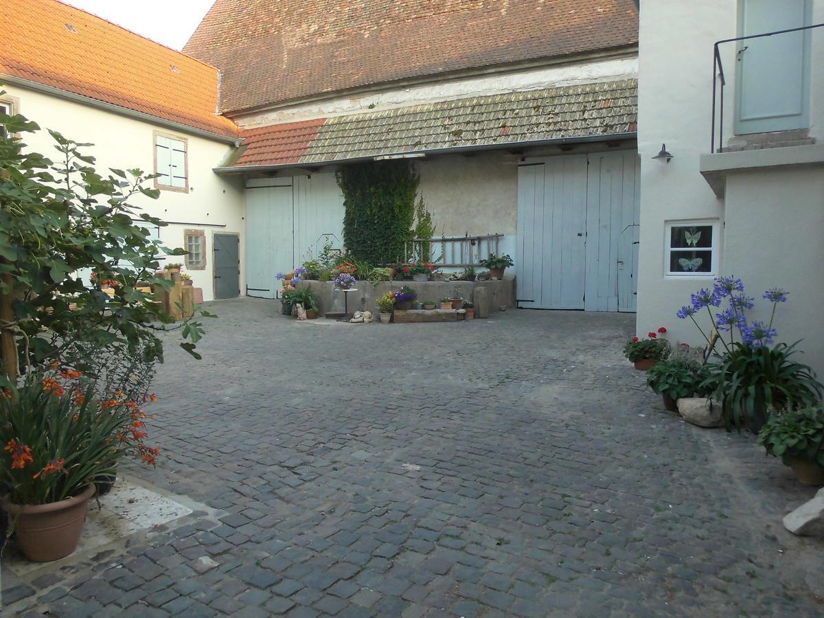 Gaestezimmer Mittelgasse Florsheim-Dalsheim Ngoại thất bức ảnh