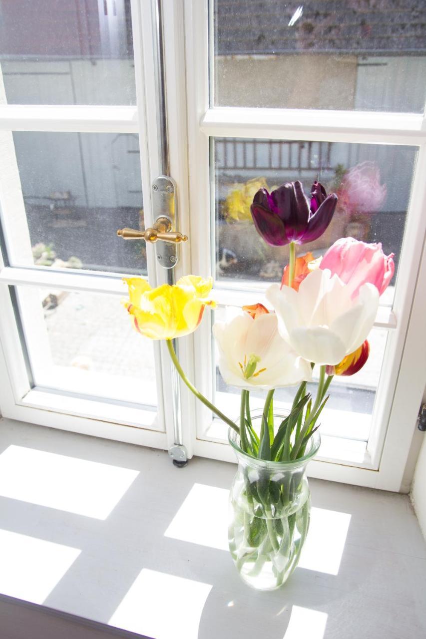 Gaestezimmer Mittelgasse Florsheim-Dalsheim Ngoại thất bức ảnh